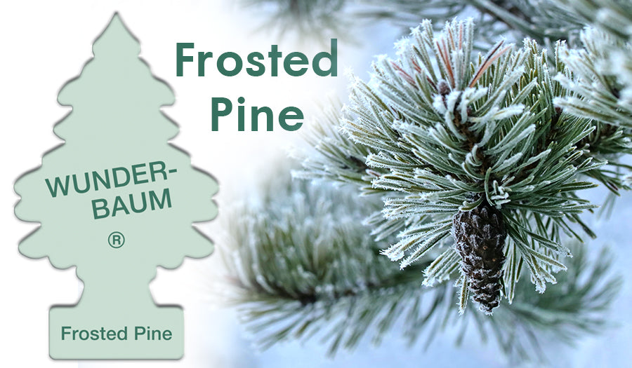 Wunder Baum Frosted Pine bilduft